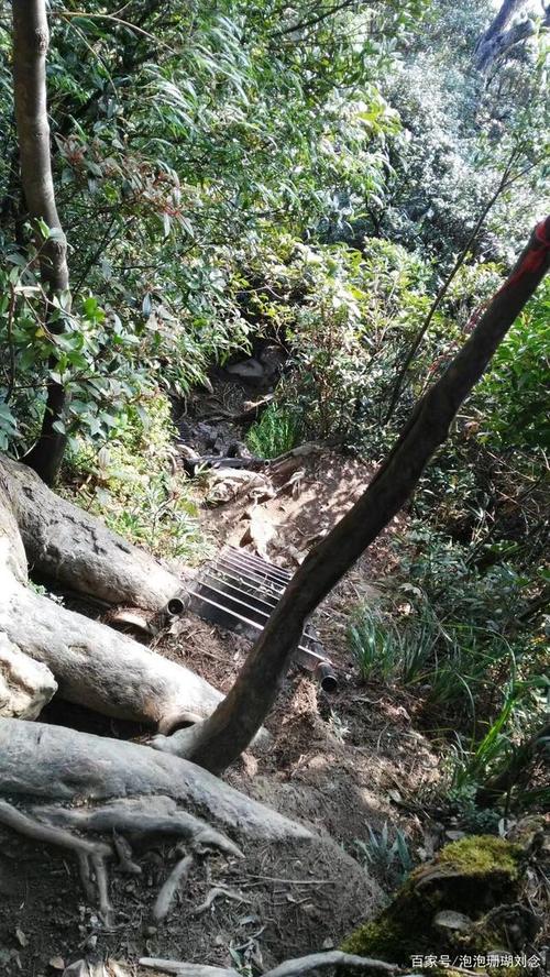 第一天：三亚—五指山