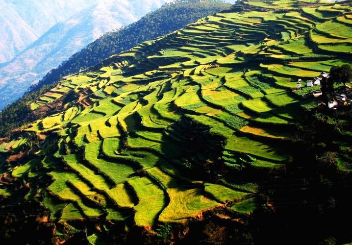 第四天：苍山洱海+洱源/红河/西双版纳梯田—曼德拉梯田—玉溪金沙江大峡谷—虎跳峡—西双版纳