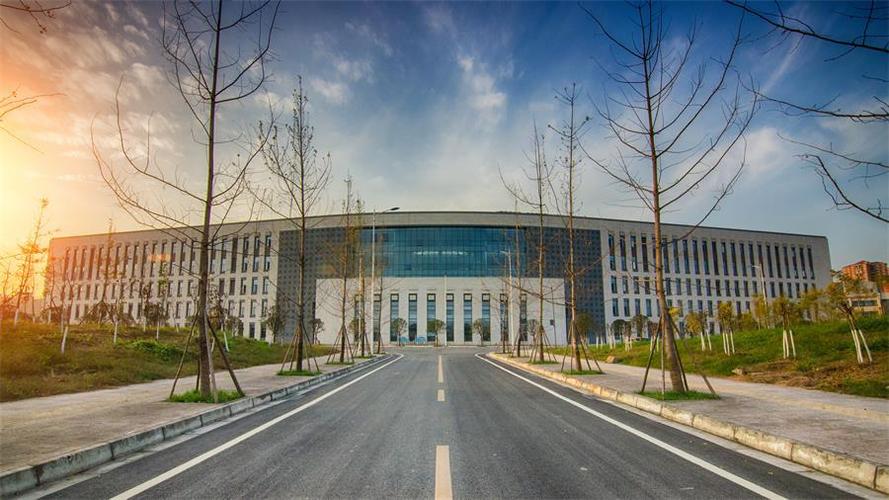 3、成华大学