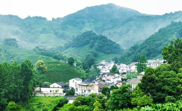 6、温江区龙井村