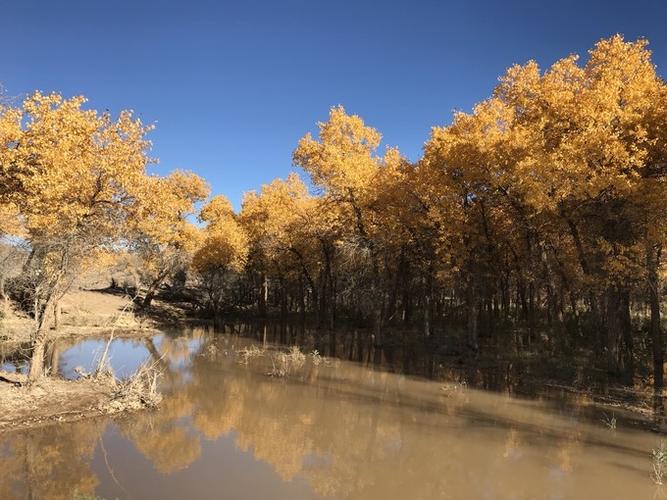 第三天：额济纳