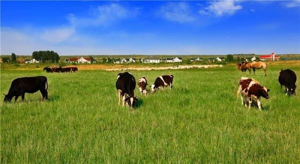 第五天天气，第六天：满洲里--兴安盟--鄂尔多斯草原（沙漠、湖泊）
