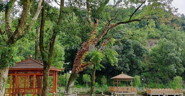 6、南昌-樟树-南昌。