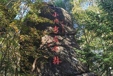 第二天：虎林—长白山