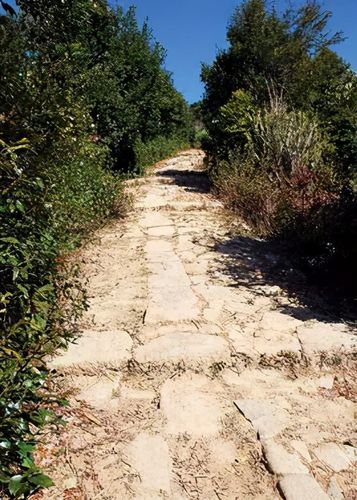 第一天：腾冲→高黎贡山→茶马古道风景区