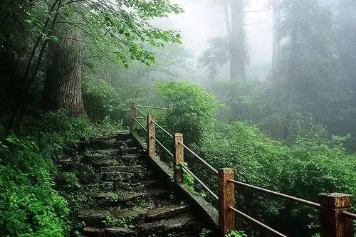 三、天目山自驾或火车：