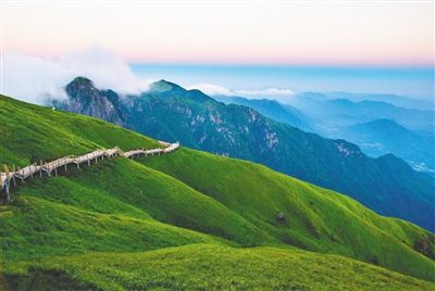 4、下午去天目山，那里是一片绿色的海洋。