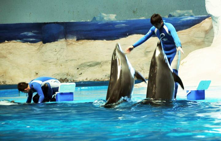 第二天：湛江海洋世界