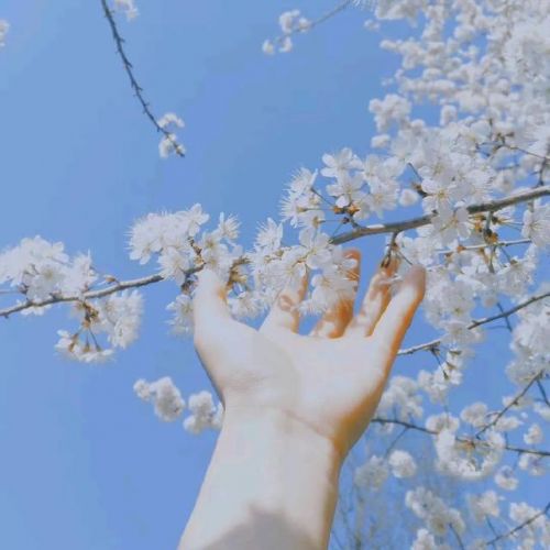 人生若只是初见,何事秋风悲画扇表达什么意思(人生若只是初见何事秋风悲画扇是指什么事)-第2张图片-