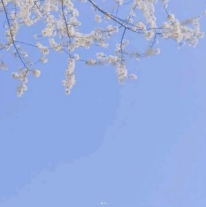 ​人生若只是初见,何事秋风悲画扇表达什么意思(人生若只是初见何事秋风悲画扇是