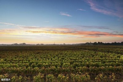 ​波尔多在北纬多少度_波尔多北纬45度