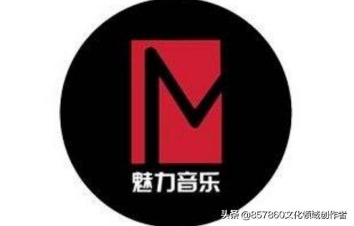 音乐的魅力感悟短句(音乐的魅力作文600字)-第1张图片-