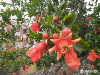 ​鎻忓啓蹇冩儏鐨勬枃绔?00瀛? 鎻忓啓蹇冩儏鐨勬枃绔?00瀛?/p>