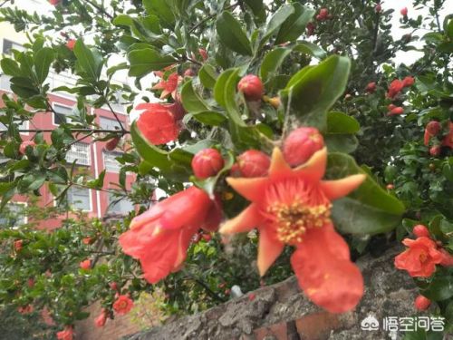 鎻忓啓蹇冩儏鐨勬枃绔?00瀛? 鎻忓啓蹇冩儏鐨勬枃绔?00瀛?绗?寮犲浘鐗?