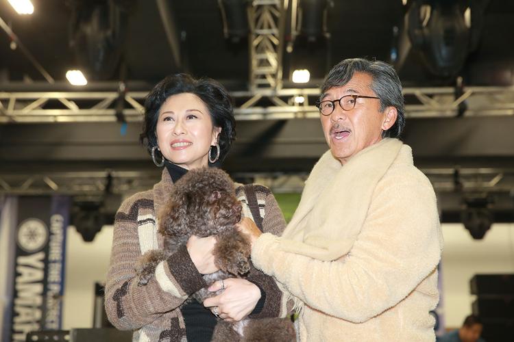 林子祥和叶倩文什么时候离的婚(叶倩文为什么不生育)