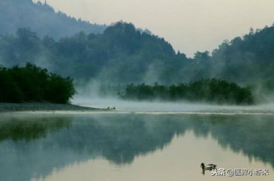 ​中医基础理论讲稿谁的好(李德新中医基础理论讲稿)