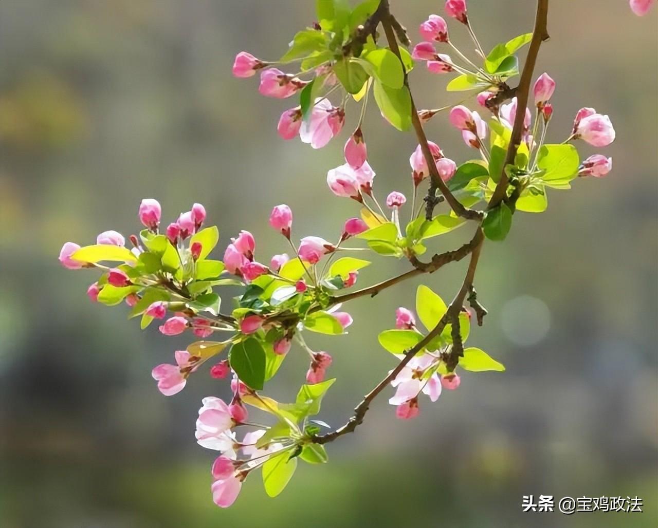 上巳节是什么节(上巳节的风俗是什么)