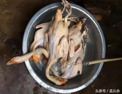 ​买回来的盐水鸭要蒸多久（盐水鸭怎么吃）