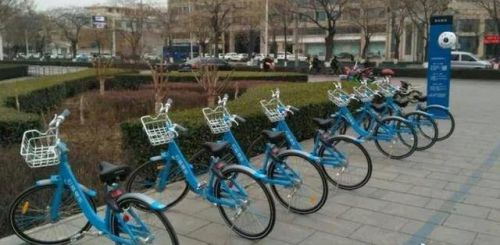 河北电子围栏厂家(电子围栏系统)-第2张图片-