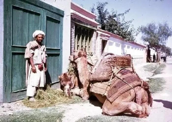 阿富汗还存在吗(阿富汗改名叫什么国家)