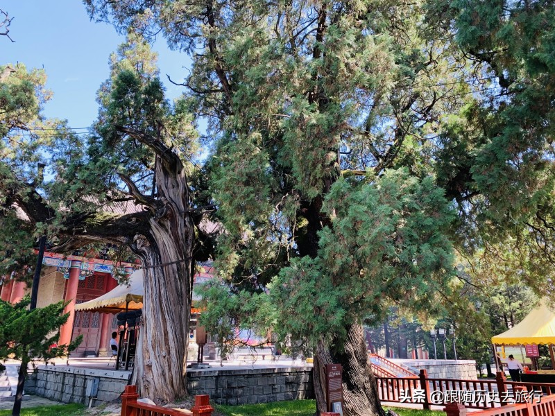 黄帝陵在哪里(黄帝陵历史简介)