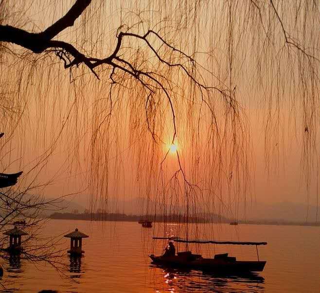 杜甫的妻子是谁(杜甫娶了多少个妻子)