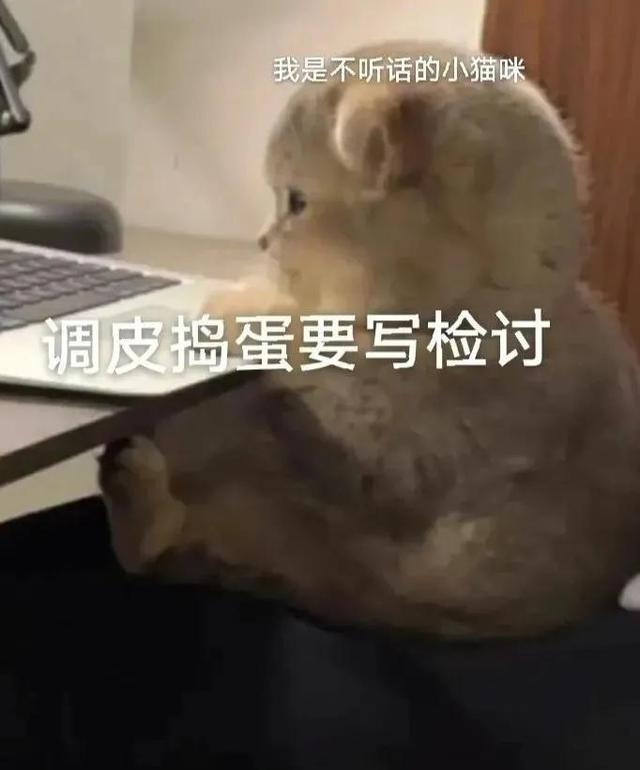 卖萌表情包抱抱（表情包可爱撒娇卖萌）(8)