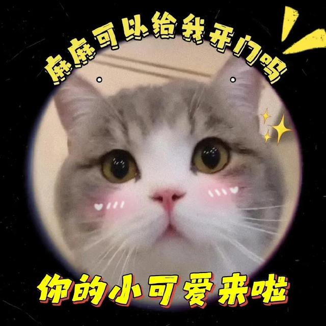 卖萌表情包抱抱（表情包可爱撒娇卖萌）(4)