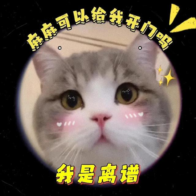 卖萌表情包抱抱（表情包可爱撒娇卖萌）(3)