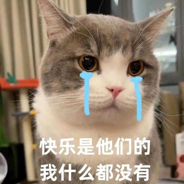 卖萌表情包抱抱（表情包可爱撒娇卖萌）(7)