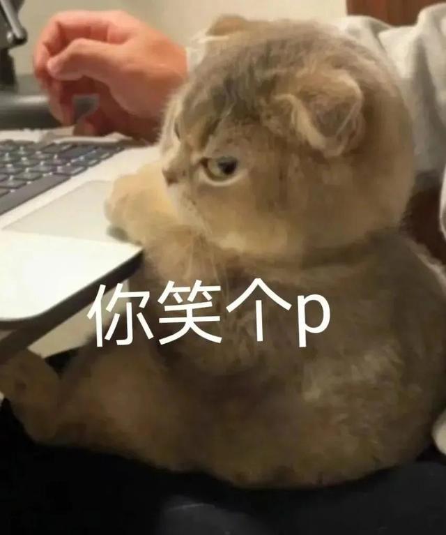 卖萌表情包抱抱（表情包可爱撒娇卖萌）(9)