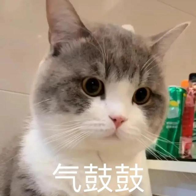 卖萌表情包抱抱（表情包可爱撒娇卖萌）(2)