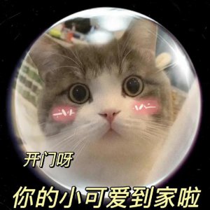 ​卖萌表情包抱抱（表情包可爱撒娇卖萌）