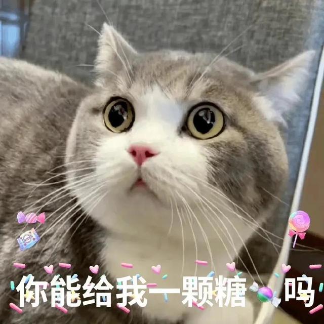 卖萌表情包抱抱（表情包可爱撒娇卖萌）(5)