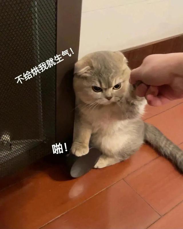 卖萌表情包抱抱（表情包可爱撒娇卖萌）(10)