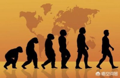 ​人类未解之谜全记录  人类未解之谜读后感