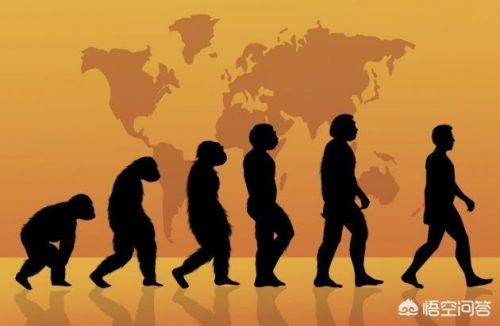 人类未解之谜全记录  人类未解之谜读后感-第1张图片-