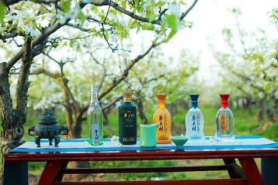 ​梨花村酒42度价格表(梨花村酒42度价格表柔和9)