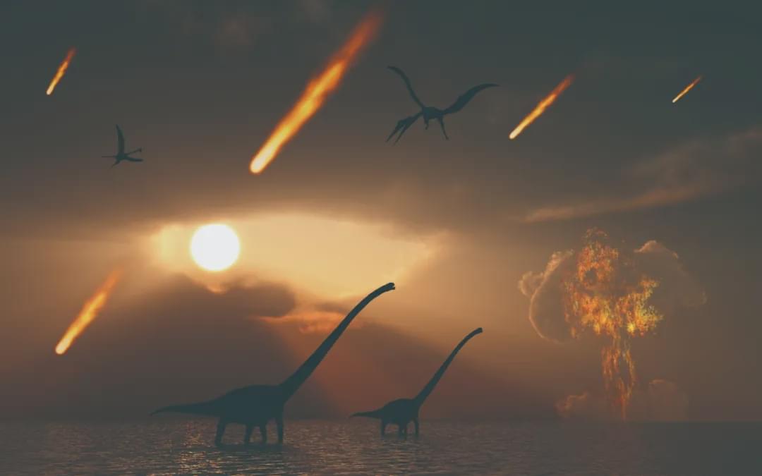 恐龙为何没有进化出智慧（恐龙的样子和图片最简单的）