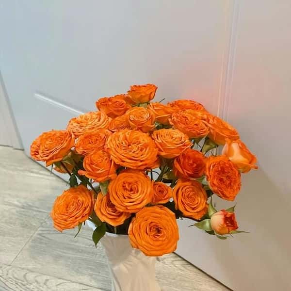 红色有啥寓意（红色代表什么意思）