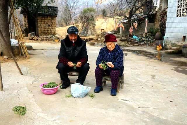 2020新农合有哪些人可以免交（免交新农合是真的吗）