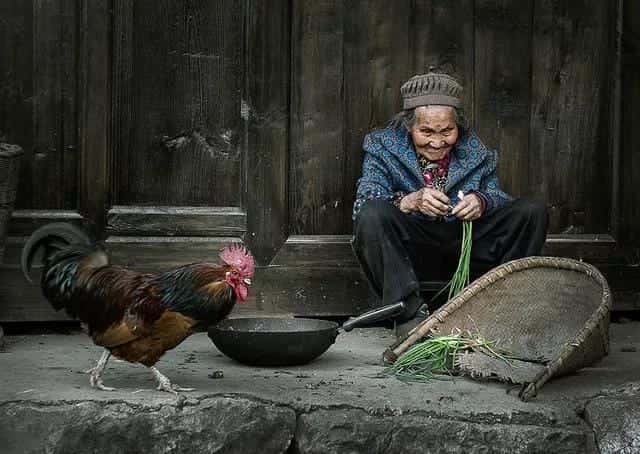 2020新农合有哪些人可以免交（免交新农合是真的吗）