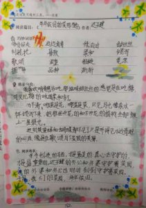 ​读书笔记大全三十篇三国演义(读书笔记大全三十篇300)