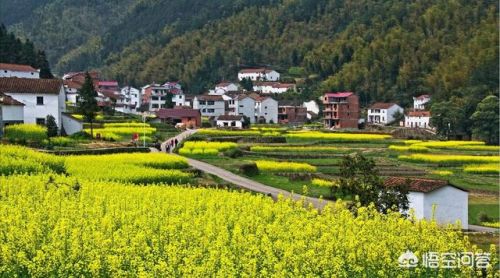 各具特色的民居教学设计优质课(各具特色的民居教学设计及反思)-第5张图片-