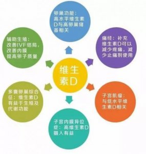 ​维生素d的作用和功效(维生素d的作用和功效哪些人适合吃)