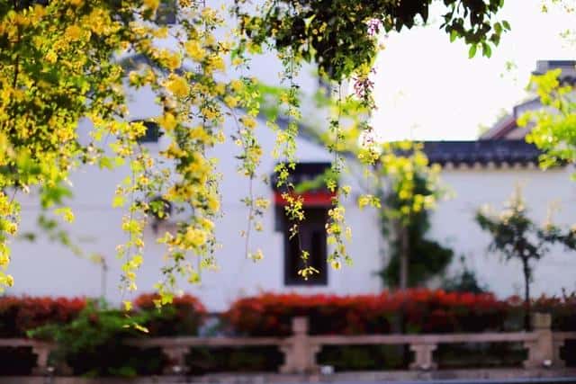 最能打动人的古代情诗诗句（100句撩人情诗）