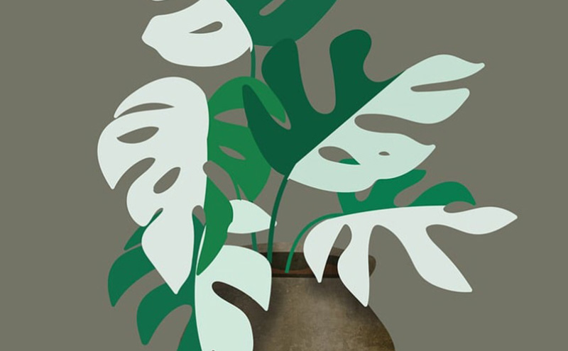 谢贤打曾江中间的是谁（谢贤为何打曾江-）