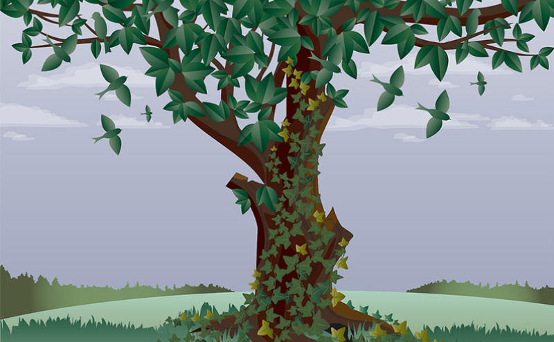 谢贤打曾江中间的是谁（谢贤为何打曾江-）