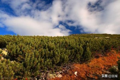 ​赵普文言文翻译及注释(赵普文言文翻译及字词翻译)