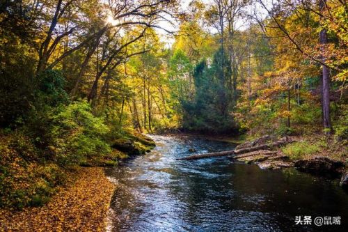 赵普文言文翻译及注释(赵普文言文翻译及字词翻译)-第2张图片-
